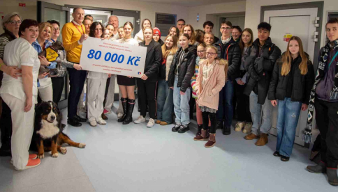 Pomoc canisterapii ve Fakultní nemocnici Olomouc