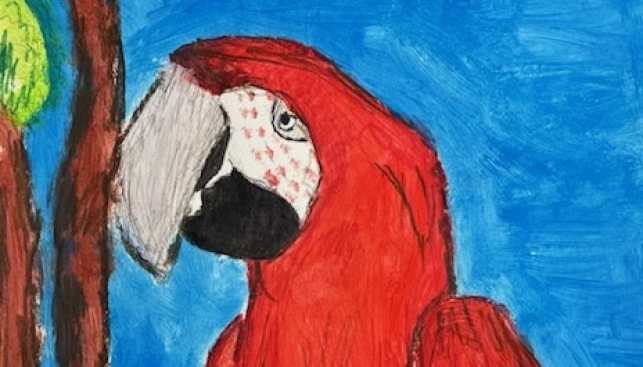 Výtvarné práce studentů na Exota Olomouc